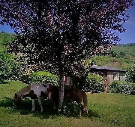 La Fregiere Chalets Clairvaux-d'Aveyron Exterior foto
