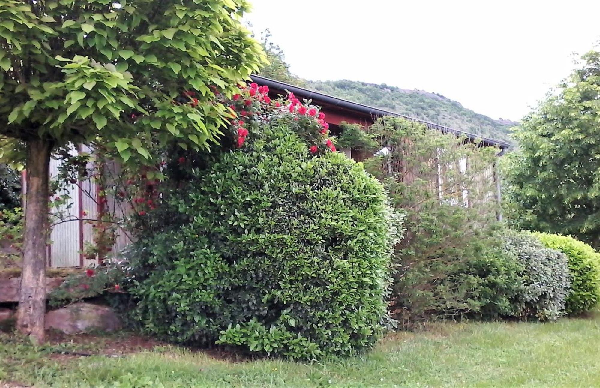La Fregiere Chalets Clairvaux-d'Aveyron Exterior foto