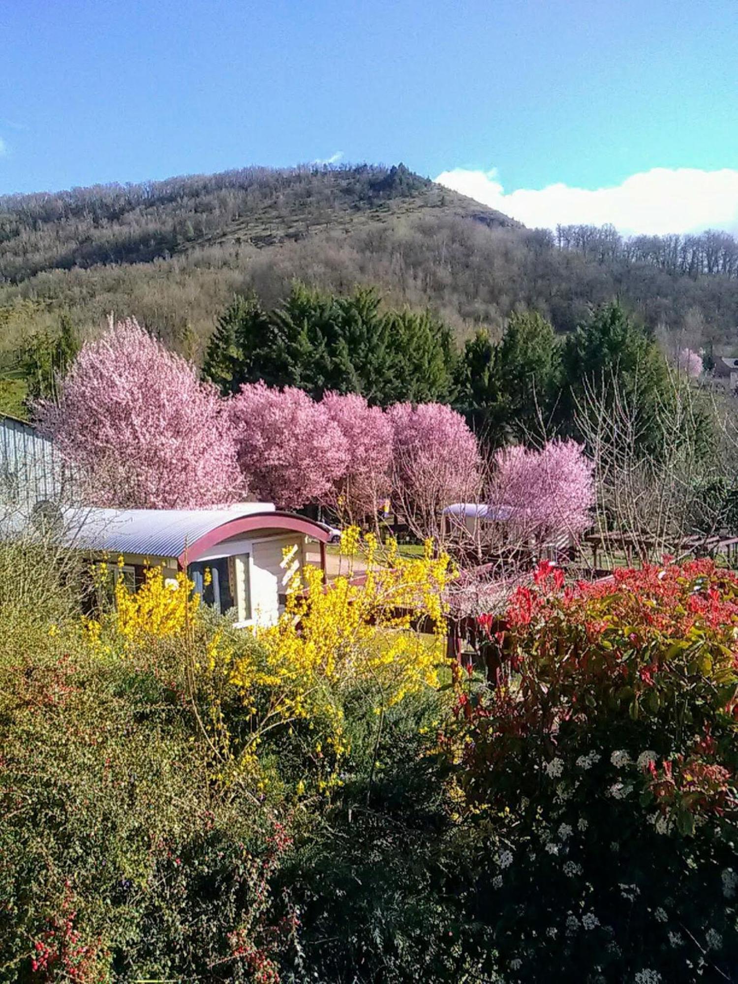 La Fregiere Chalets Clairvaux-d'Aveyron Exterior foto
