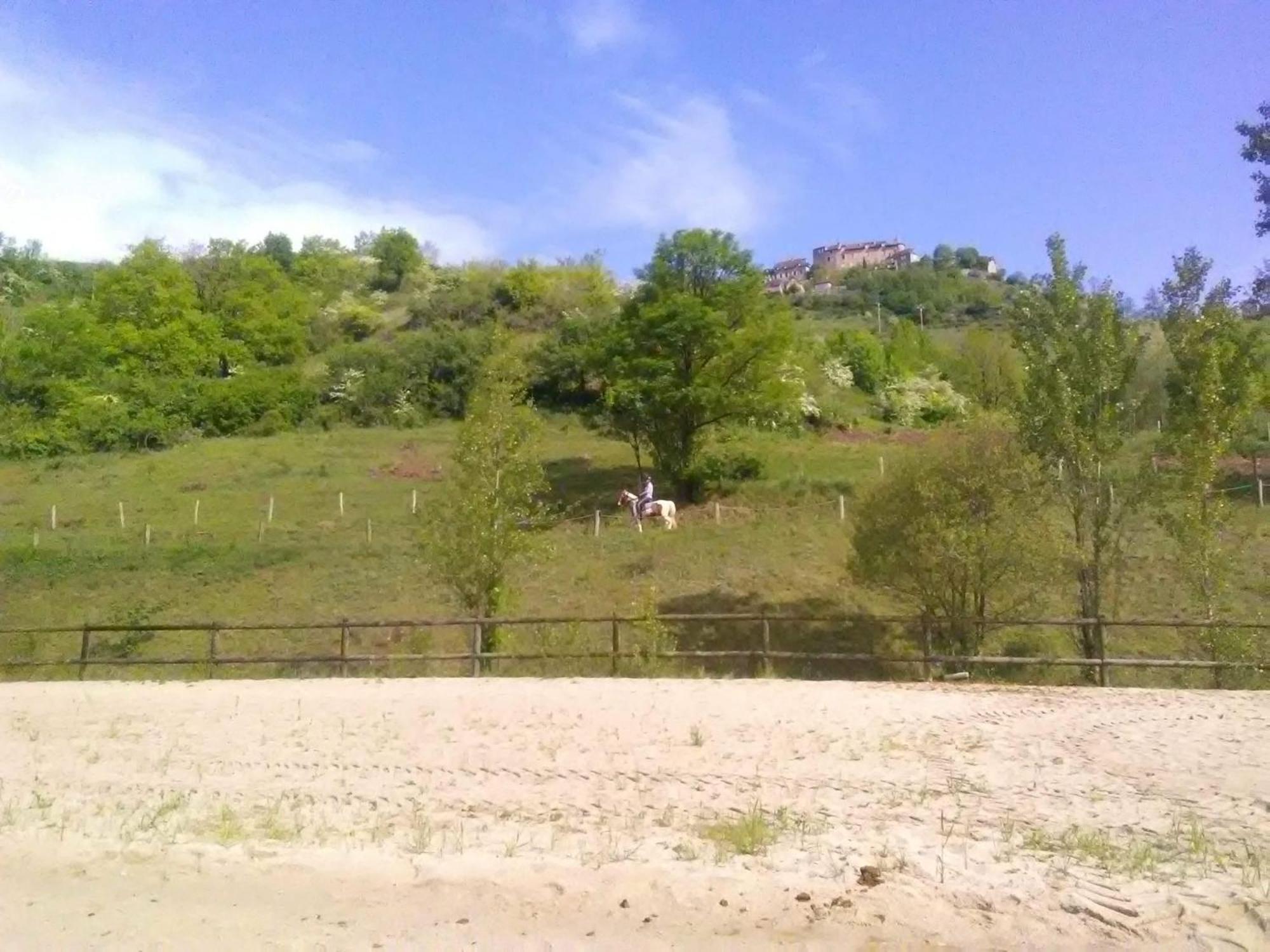 La Fregiere Chalets Clairvaux-d'Aveyron Exterior foto