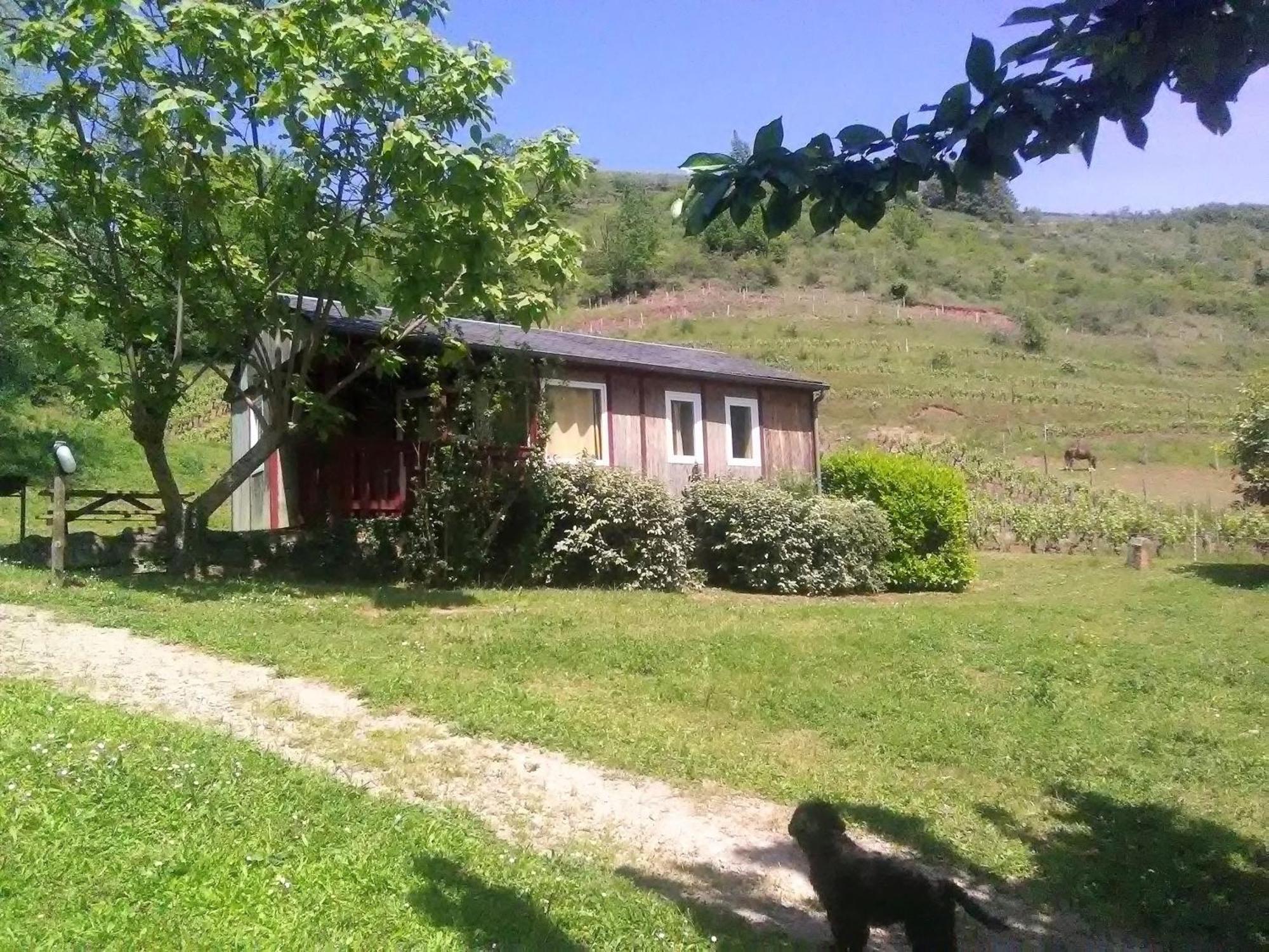 La Fregiere Chalets Clairvaux-d'Aveyron Exterior foto