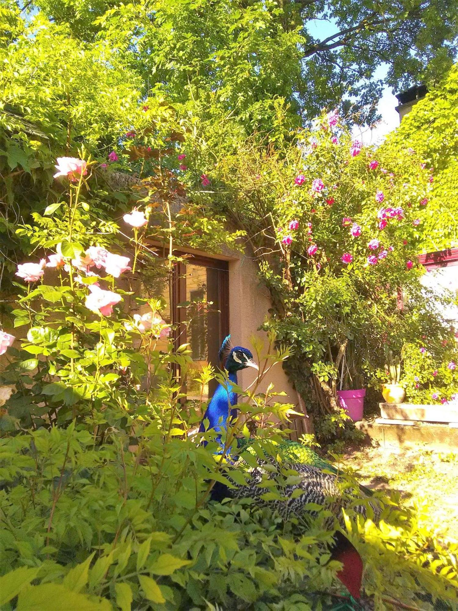 La Fregiere Chalets Clairvaux-d'Aveyron Exterior foto