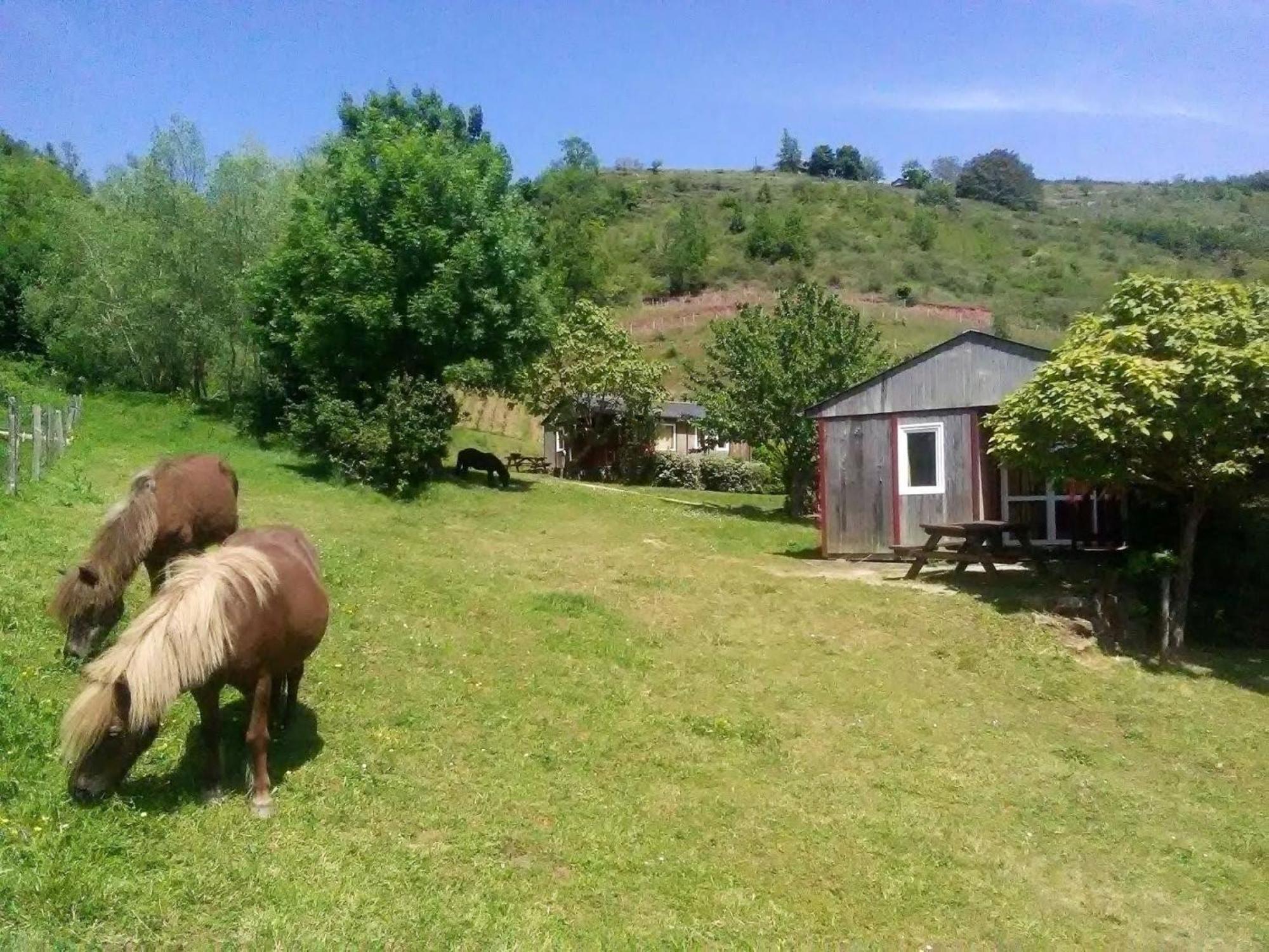 La Fregiere Chalets Clairvaux-d'Aveyron Exterior foto