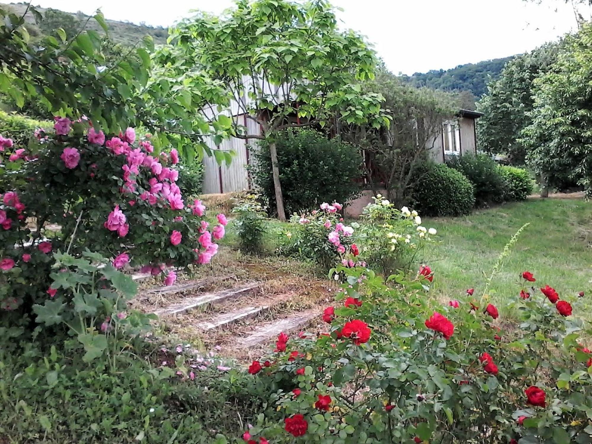 La Fregiere Chalets Clairvaux-d'Aveyron Exterior foto